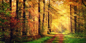 Wohlbefinden_auch_im_Herbst